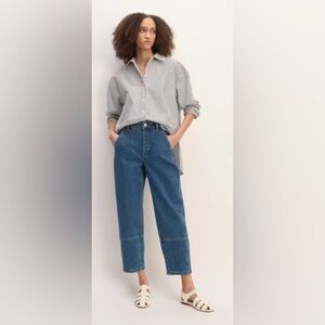 Everlane Utility Barrel Pant
